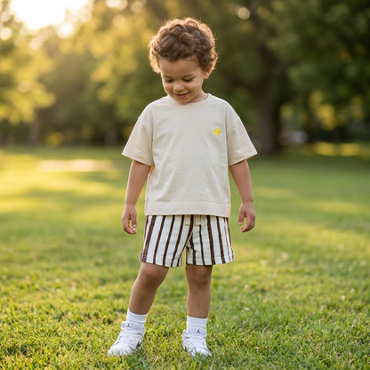 Brown Stripes Shorts