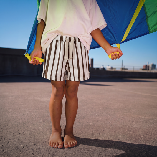 Brown Stripes Shorts